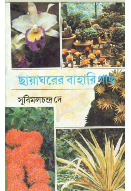 CHAYAGHARER BAHARI GACHH