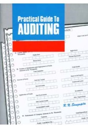 PRACTICAL GUIDE TO AUDITING PRACTICAL GUIDE TO AUDITING
