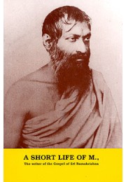 A Short Life of 8216M8217