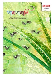 Pakh Pakhali Parijayider Astanay